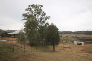 Click to view all images 1505 CULLINGRAL ROAD Merriwa NSW 2329 - Image 1