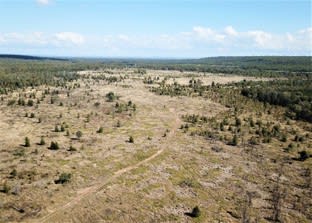 9421 Capricorn Highway Duaringa QLD 4712 - Image 1