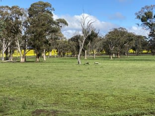 Click to view all images 3697 Talbot West Rd Talbot WA 6302 - Image 2
