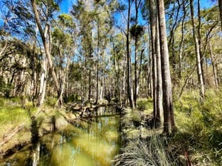 Click to view all images 10 Redbank Road Pampoolah NSW 2430 - Image 3