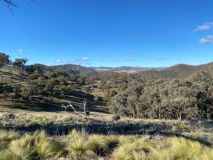 Click to view all images 1033 Hill End Road Crudine NSW 2795 - Image 2