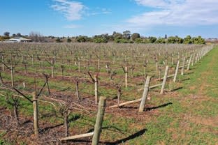 Click to view all images Lot 3/211 Main Avenue Merbein South VIC 3505 - Image 2
