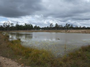 852 Old Gayndah Road Dunmora QLD 4650 - Image 2
