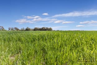 Click to view all images 754 Dingee Road Dingee VIC 3571 - Image 2