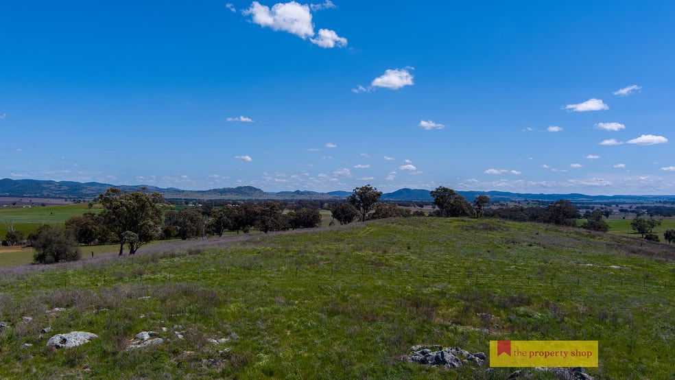 5/705 Springfield Lane Gulgong NSW 2852 - Image 1