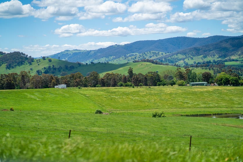 Click to view all images 2254 Kiewa Valley Highway Dederang VIC 3691 - Image 3