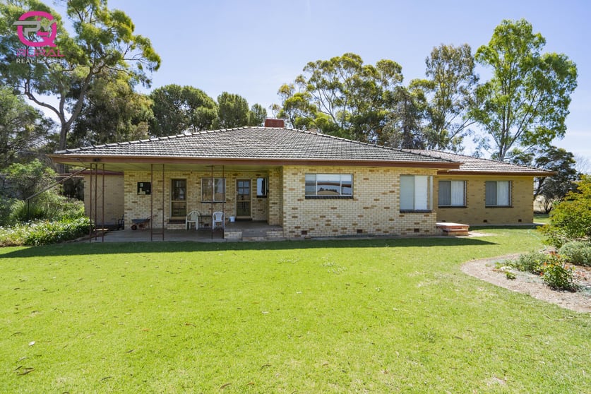 Click to view all images 243 Mellington Road Coleambally NSW 2707 - Image 3
