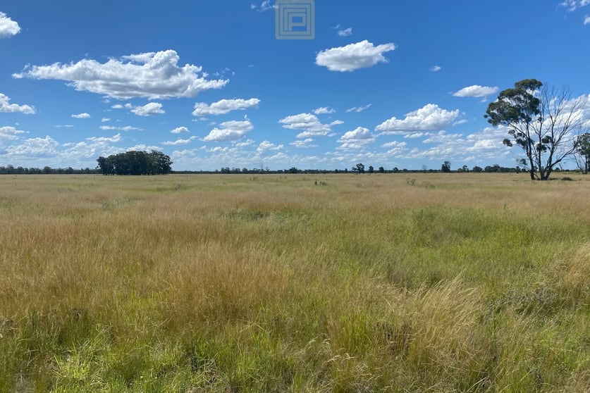Click to view all images 1688 Forest Way Wee Waa NSW 2388 - Image 1
