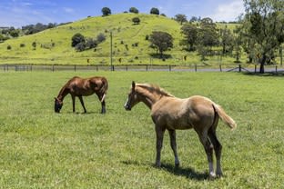 Click to view all images 39 Summerholm Road Summerholm QLD 4341 - Image 1