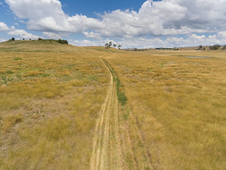 Click to view all images 4397 Mitchell Highway Lucknow NSW 2800 - Image 2