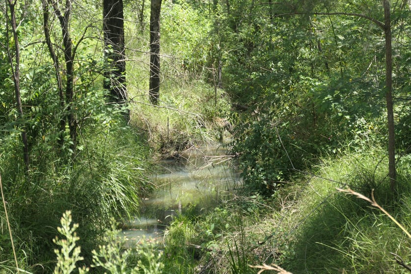 Click to view all images 8/175 Mud Flat Road Drake NSW 2469 - Image 3