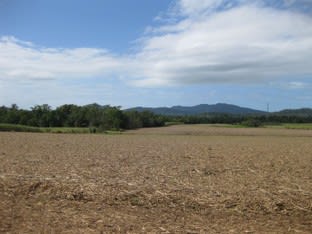 Friday Pocket QLD 4855 - Image 2