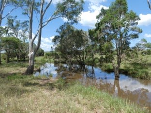 Teebar QLD 4620 - Image 2