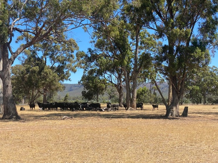 Click to view all images Lot 2 Wonwondah-Dadswells Bridge Road Laharum VIC 3401 - Image 1