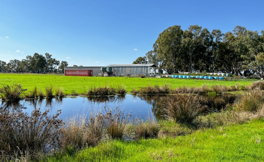 Click to view all images 209 Rockliffs Road Strathmerton VIC 3641 - Image 2