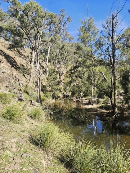 Click to view all images 2358 & 326 Port Macquarie Road Rylstone NSW 2849 - Image 1