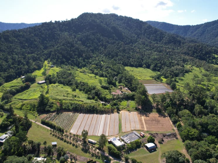 Click to view all images 33 Brodies Road Mount Charlton QLD 4741 - Image 1
