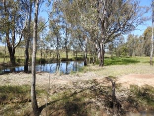 Click to view all images CA 61, Sec A Paynters Road Violet Town VIC 3669 - Image 3