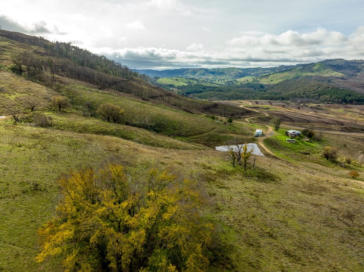 Click to view all images 309 Westbrook Road, Taradale, via Tumbarumba NSW 2653 - Image 2