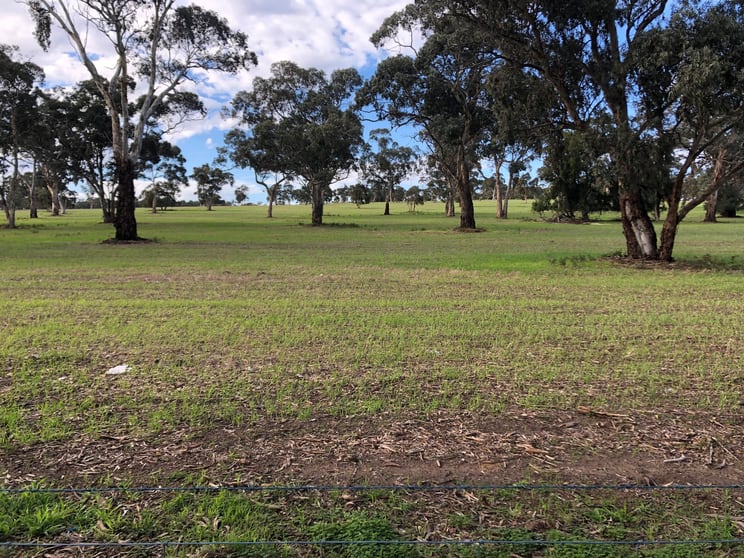 Click to view all images 6465 Riddoch Highway Padthaway SA 5271 - Image 2
