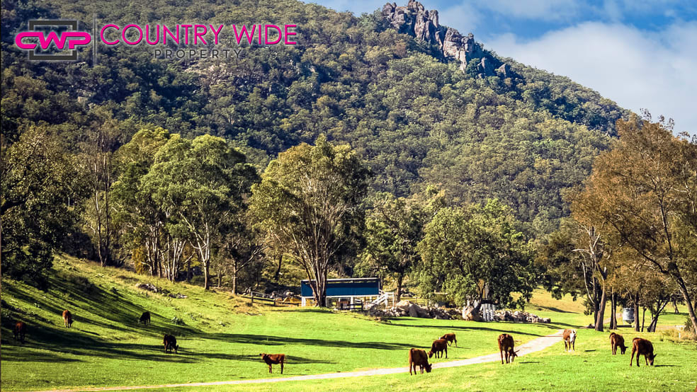 Click to view all images 1017 Bluff River Road Tenterfield NSW 2372 - Image 3