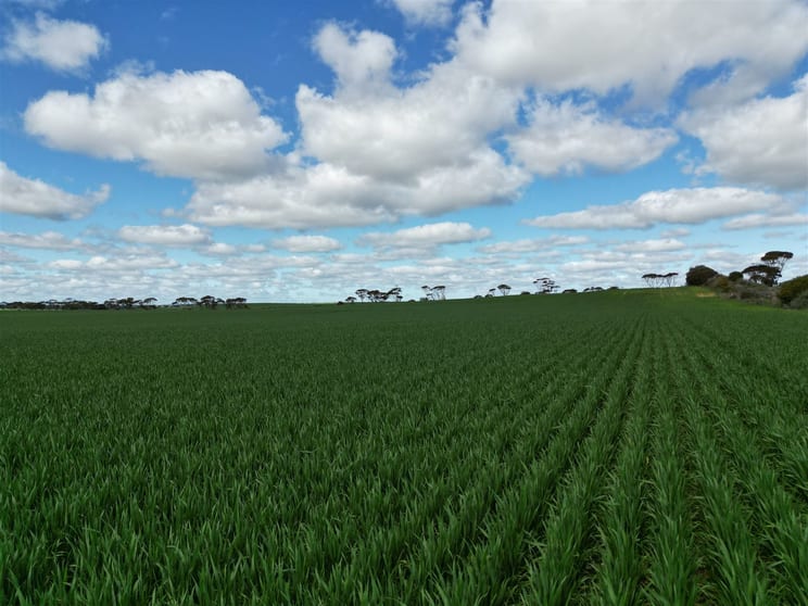8158 Spencer Highway Alford SA 5555 - Image 3