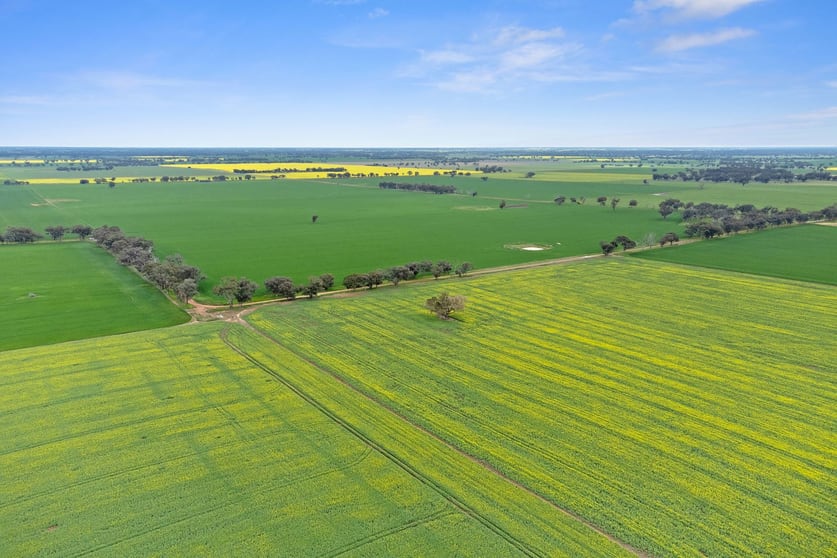 Click to view all images . Nihill Road Elmore VIC 3558 - Image 3