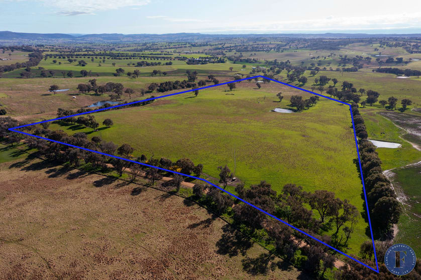 Click to view all images Lot 3 Milo Roads Murringo NSW 2586 - Image 1