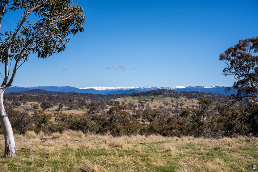 Click to view all images Lot 11 "Pure Alpine" Avonside Road Jindabyne NSW 2627 - Image 1