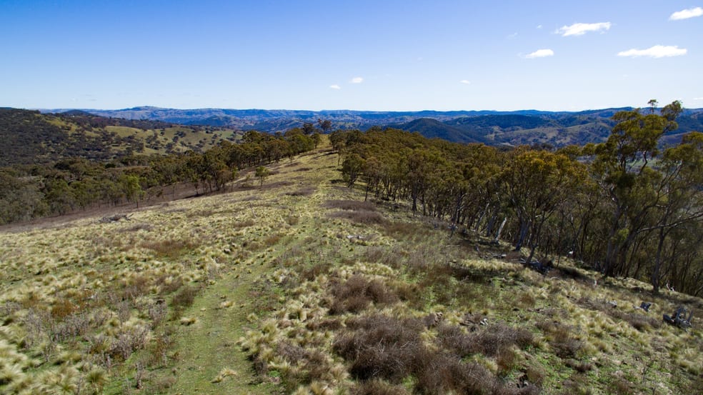 Click to view all images 67 Bullocks Flat Road Upper Turon NSW 2795 - Image 3