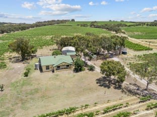 137 Moppa Road Nuriootpa SA 5355 - Image 2