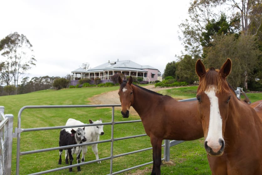 Click to view all images 387 Muldiva Road Dorrigo NSW 2453 - Image 1