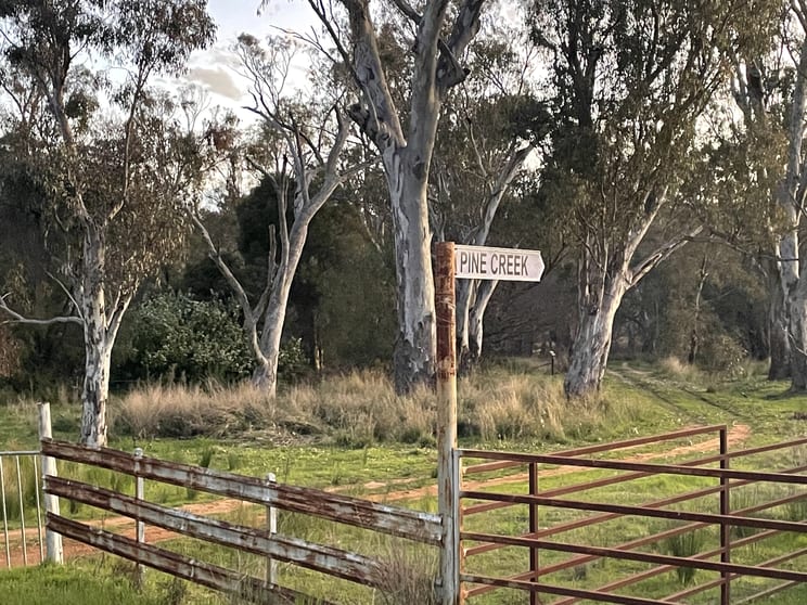 Click to view all images Pine Creek 3461 Wyuna Road, Mullaley via Gunnedah NSW 2380 - Image 1