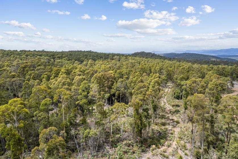Click to view all images 481 Priestleys Lane Birralee TAS 7303 - Image 3