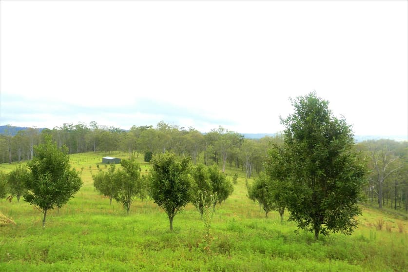 Click to view all images 160 Moras Road Lismore NSW 2480 - Image 1