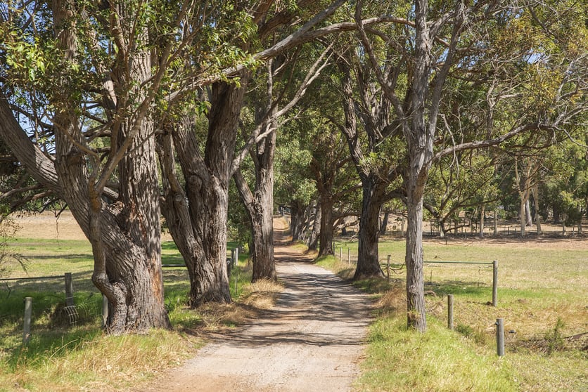 Click to view all images 85 Thomson Road Bramley WA 6285 - Image 2