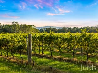 Click to view all images 379 Wilderness Road Lovedale NSW 2325 - Image 1