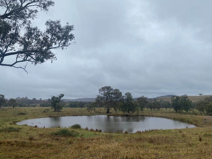 Click to view all images 1671 Lower Piambong Road Mudgee NSW 2850 - Image 3