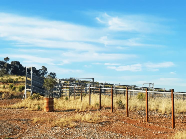 Click to view all images 660 Kerrs Creek Road Kerrs Creek NSW 2800 - Image 3