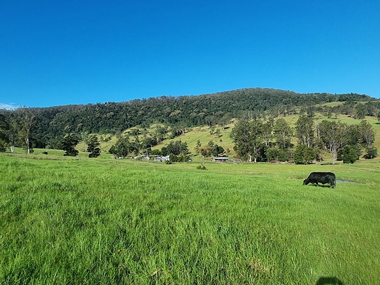 Click to view all images 807 Tunglebung Road - Tunglebung Casino NSW 2470 - Image 3