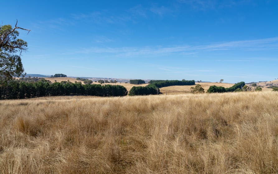 Click to view all images 371 Caloola Road Bathurst NSW 2795 - Image 2
