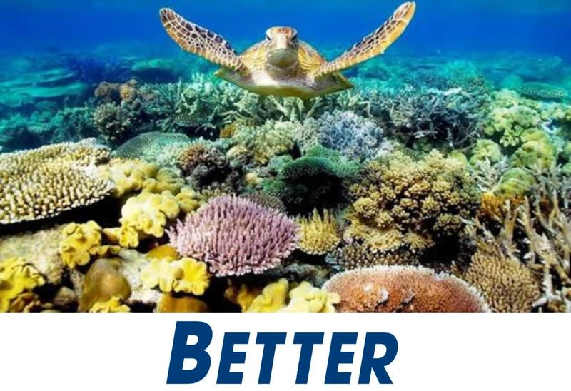 Click to view all images Shop & Retail business for sale in Gold Coast Greater Region QLD - Image 1
