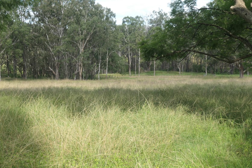 Click to view all images 3340 Rocky River Road Rocky River NSW 2372 - Image 2