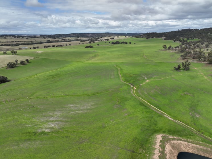Click to view all images 84 Williamson Road Dale WA 6304 - Image 3