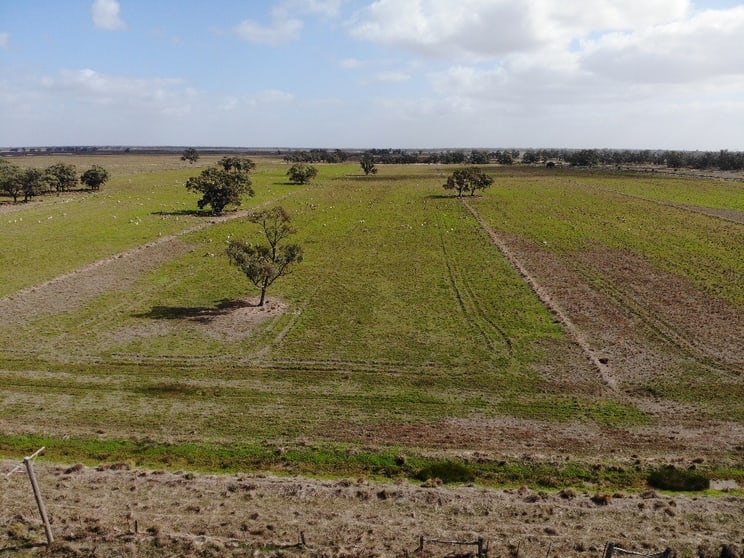 Click to view all images 'Ughatumbia & Jinark Tooranie Road (via Swan Hill Mallan NSW 2734 - Image 3