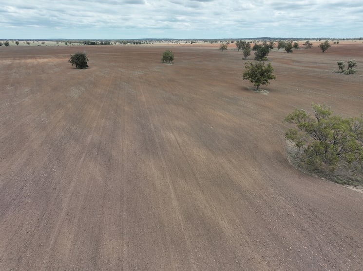 Click to view all images 'Weemala' 2075 The McGrane Way Tullamore NSW 2874 - Image 1