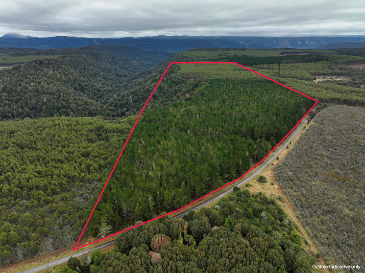 Click to view all images Murchison Highway Parrawe TAS 7321 - Image 1