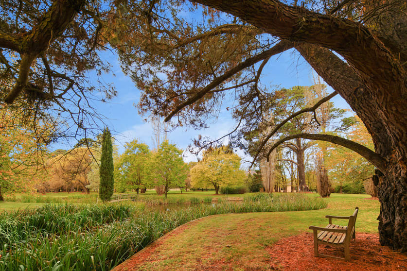 Click to view all images Tallong NSW 2579 - Image 2