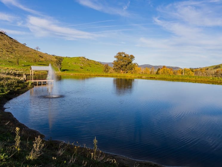 Click to view all images Tombonda Munderoo-Ournie Road Tumbarumba NSW 2653 - Image 2