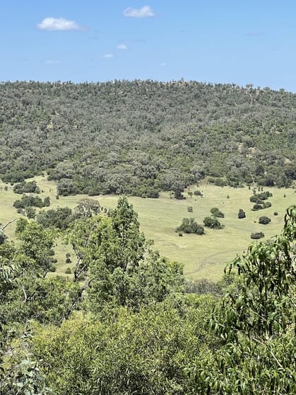 1020 Bramble Rd Warrumbungle NSW 2828 - Image 1